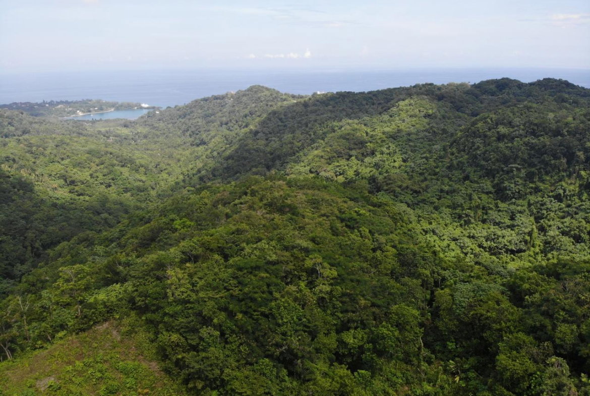 Eleventh image of 138 Nonsuch Road in Nonsuch, Portland, Jamaica - property is For Sale