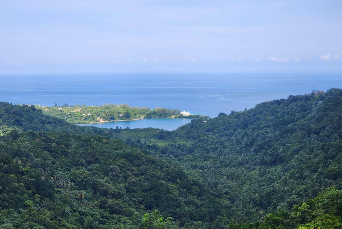 First image of 138 Nonsuch Road in Nonsuch, Portland, Jamaica - property is For Sale