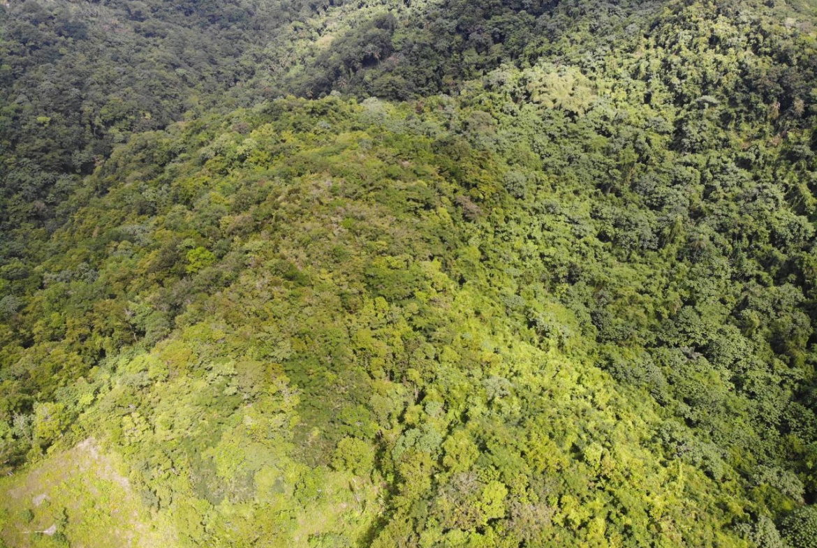 Thirteenth image of 138 Nonsuch Road in Nonsuch, Portland, Jamaica - property is For Sale