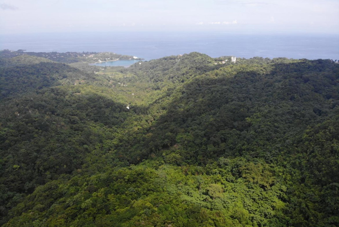 Fourteenth image of 138 Nonsuch Road in Nonsuch, Portland, Jamaica - property is For Sale