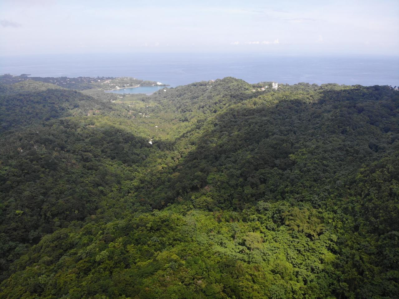 Fourteenth image of 138 Nonsuch Road in Nonsuch, Portland, Jamaica - property is For Sale