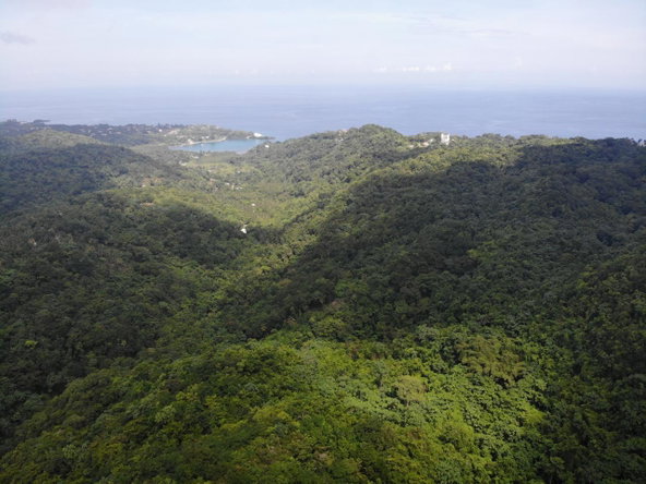 Fourteenth image of 138 Nonsuch Road in Nonsuch, Portland, Jamaica - property is For Sale