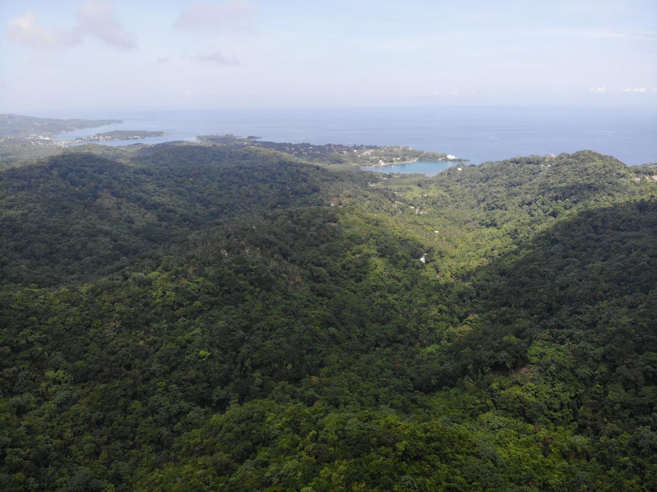 Fifteenth image of 138 Nonsuch Road in Nonsuch, Portland, Jamaica - property is For Sale