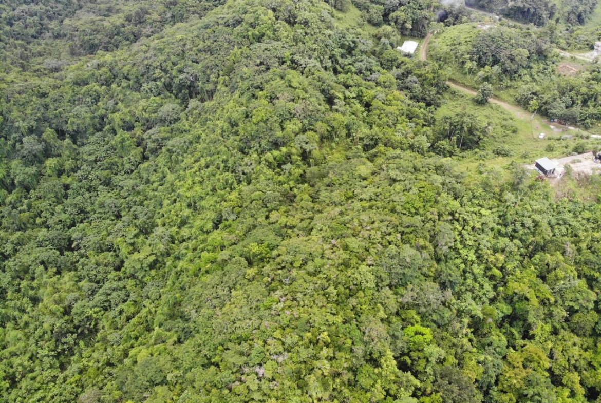 Seventeenth image of 138 Nonsuch Road in Nonsuch, Portland, Jamaica - property is For Sale