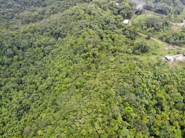Seventeenth image of 138 Nonsuch Road in Nonsuch, Portland, Jamaica - property is For Sale
