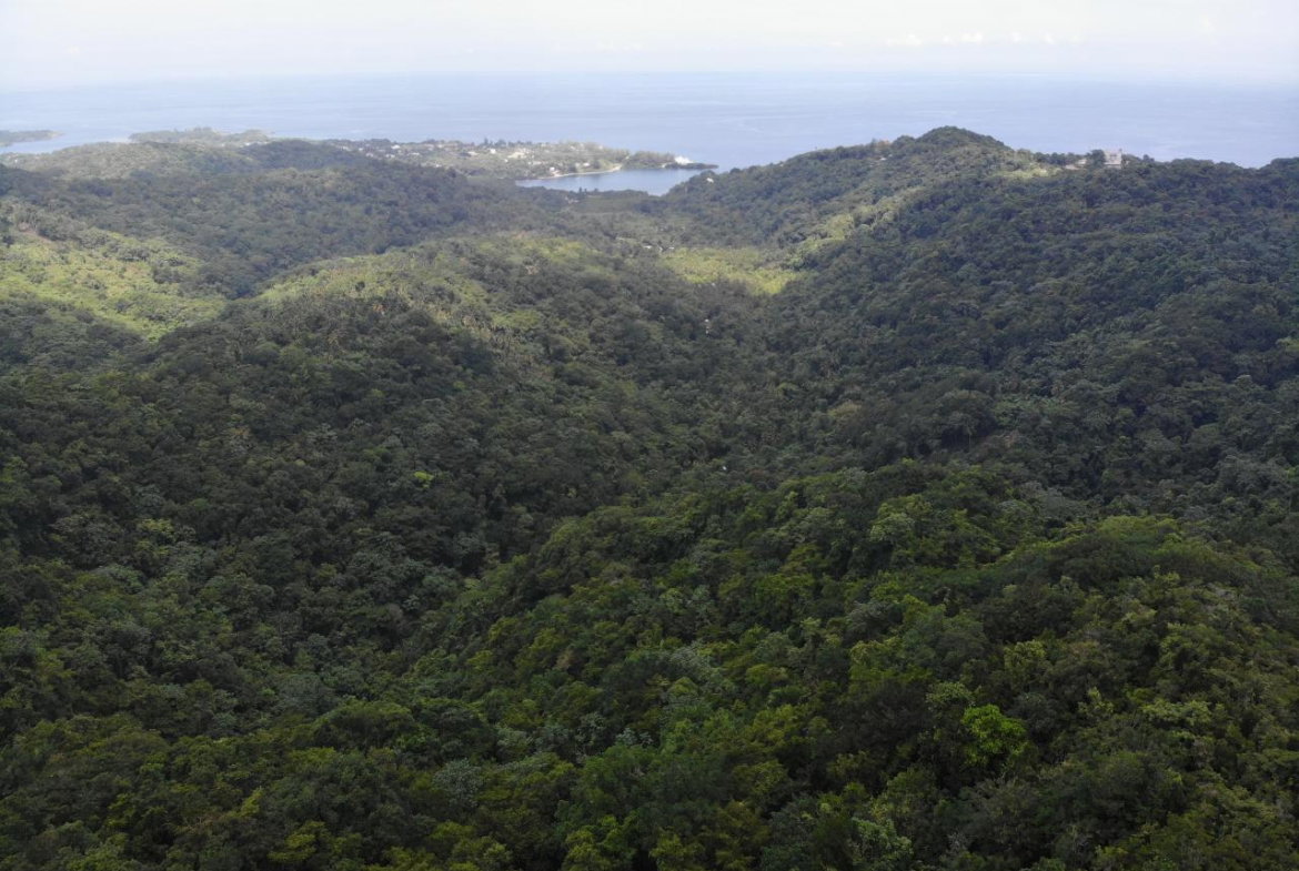 Nineteenth image of 138 Nonsuch Road in Nonsuch, Portland, Jamaica - property is For Sale