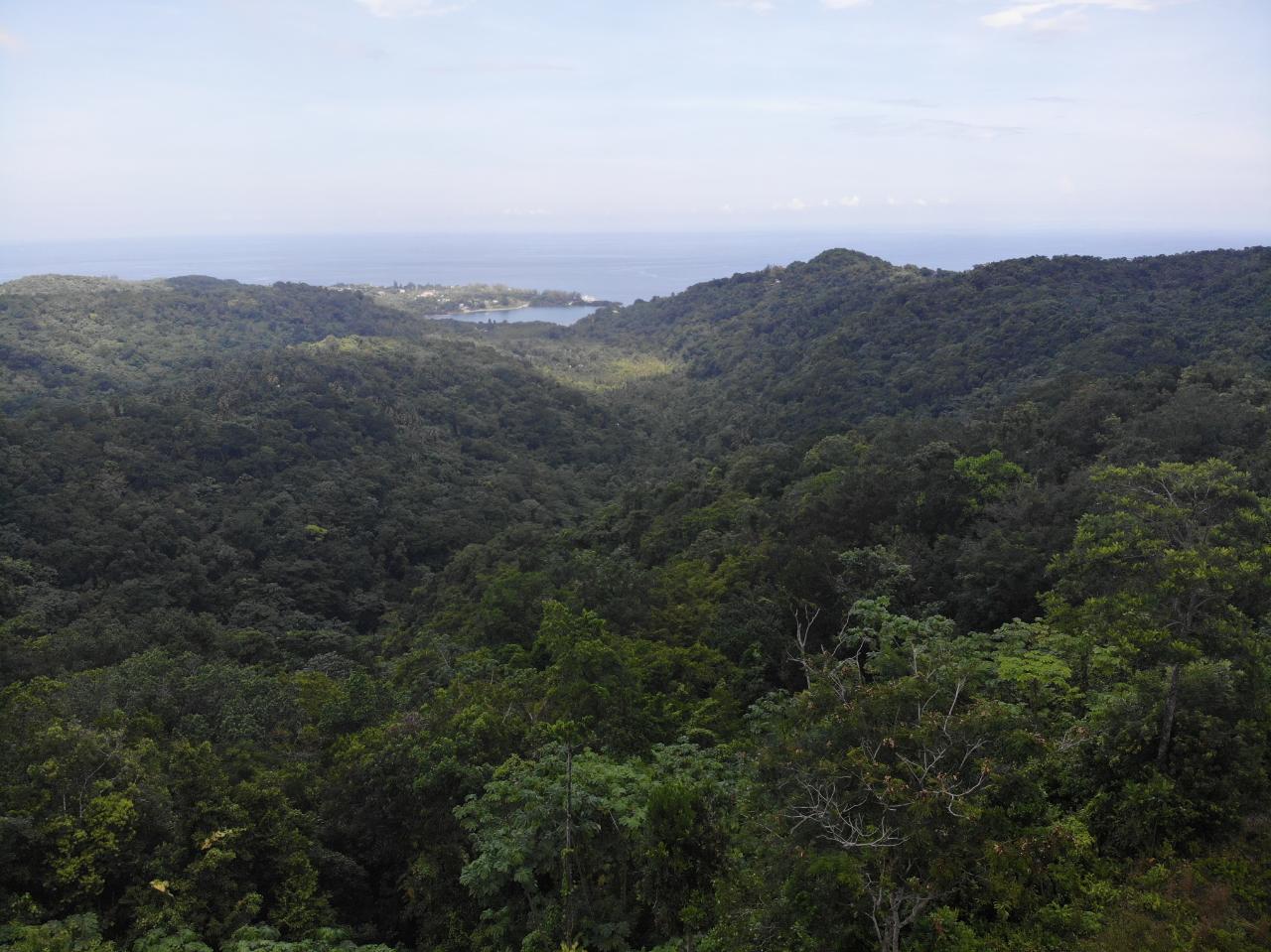 Twenty-Second image of 138 Nonsuch Road in Nonsuch, Portland, Jamaica - property is For Sale