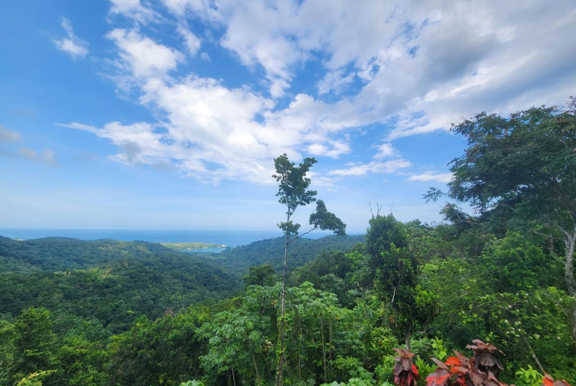 Fourth image of 138 Nonsuch Road in Nonsuch, Portland, Jamaica - property is For Sale