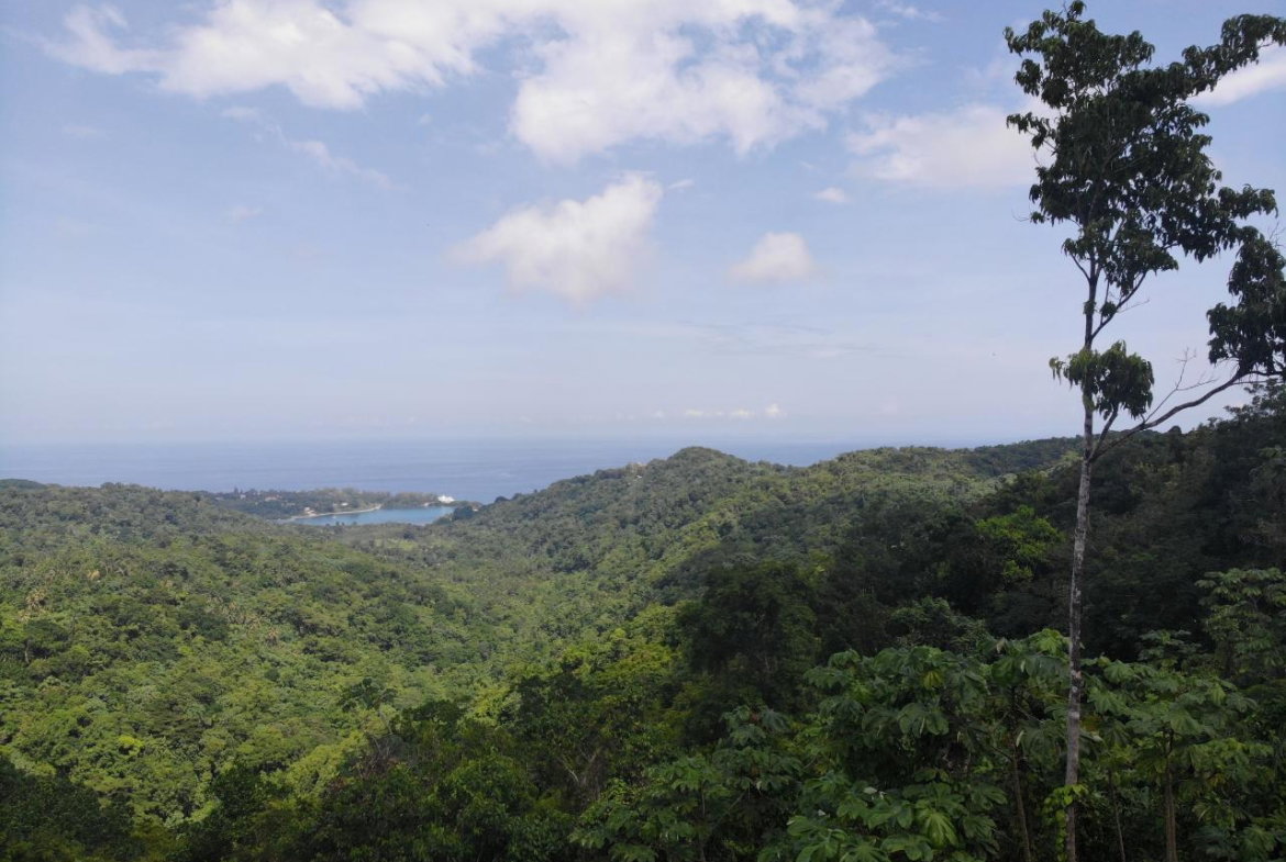Fifth image of 138 Nonsuch Road in Nonsuch, Portland, Jamaica - property is For Sale