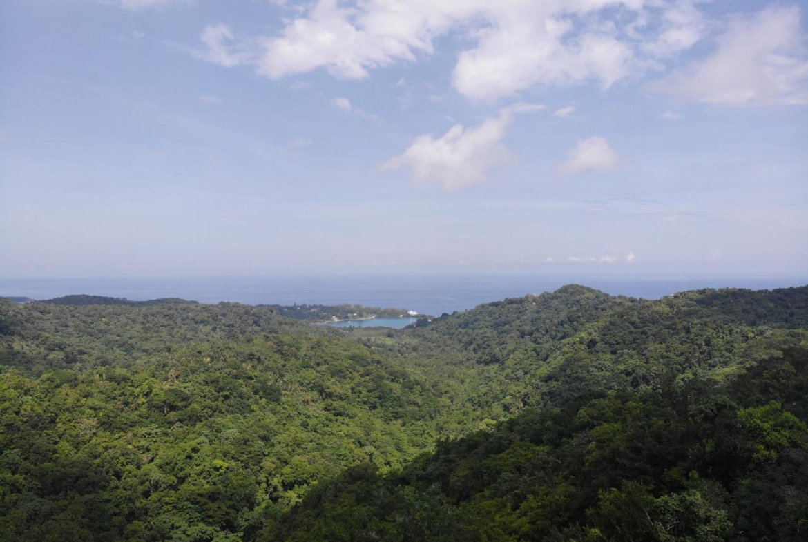 Sixth image of 138 Nonsuch Road in Nonsuch, Portland, Jamaica - property is For Sale