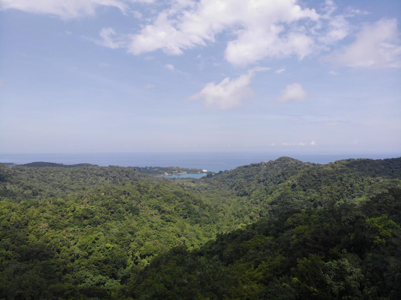 Sixth image of 138 Nonsuch Road in Nonsuch, Portland, Jamaica - property is For Sale