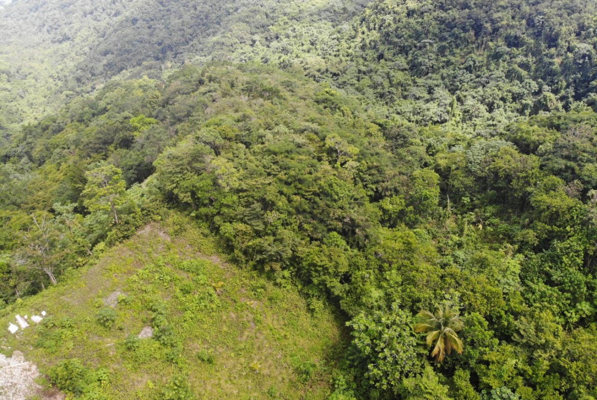 Ninth image of 138 Nonsuch Road in Nonsuch, Portland, Jamaica - property is For Sale