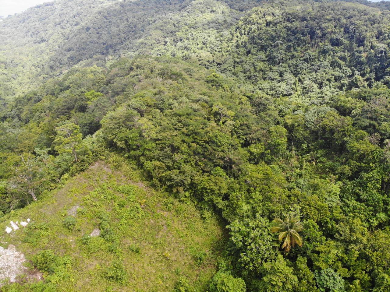 Ninth image of 138 Nonsuch Road in Nonsuch, Portland, Jamaica - property is For Sale