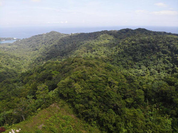 Tenth image of 138 Nonsuch Road in Nonsuch, Portland, Jamaica - property is For Sale