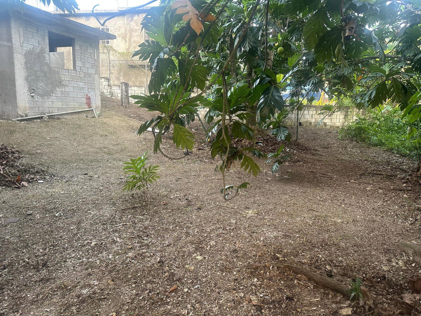 Eleventh image of 25 Tucker Drive, Irwin in Irwin, St. James, Jamaica - property is For Sale