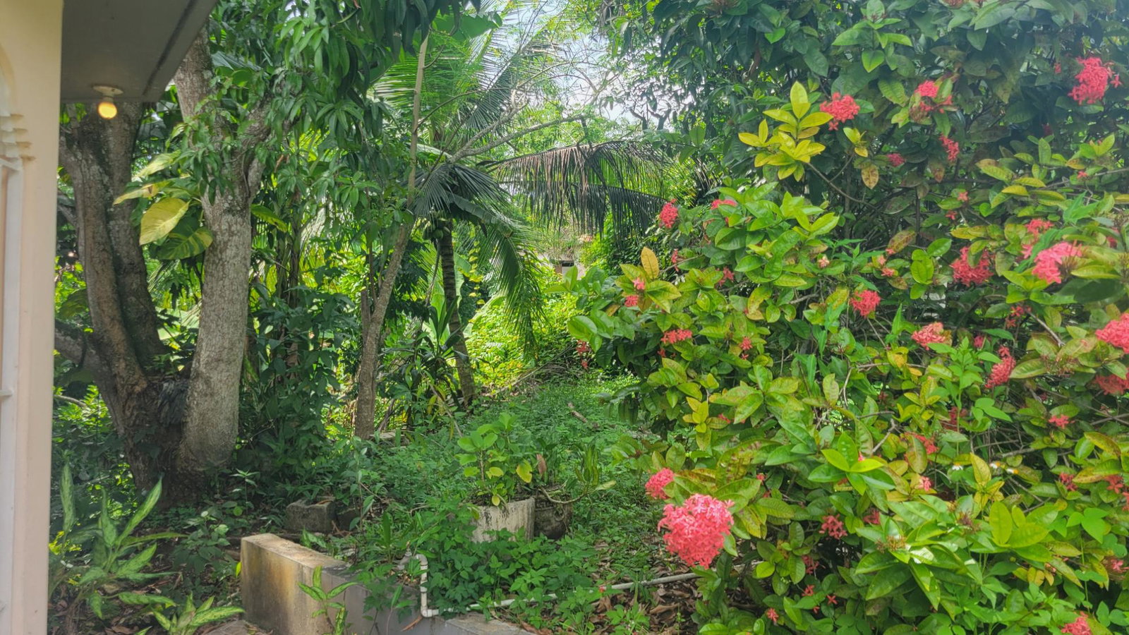 Eighth image of 25 Tucker Drive, Irwin in Irwin, St. James, Jamaica - property is For Sale
