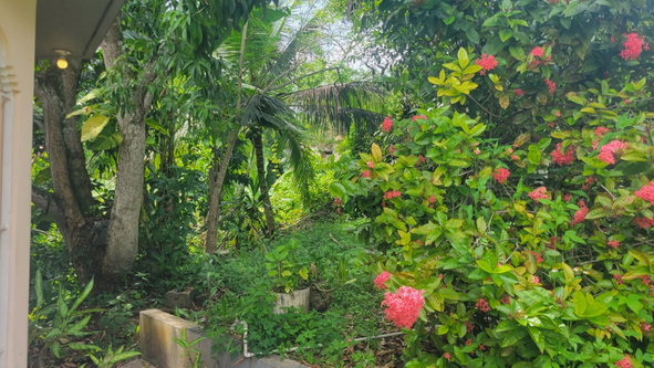 Eighth image of 25 Tucker Drive, Irwin in Irwin, St. James, Jamaica - property is For Sale