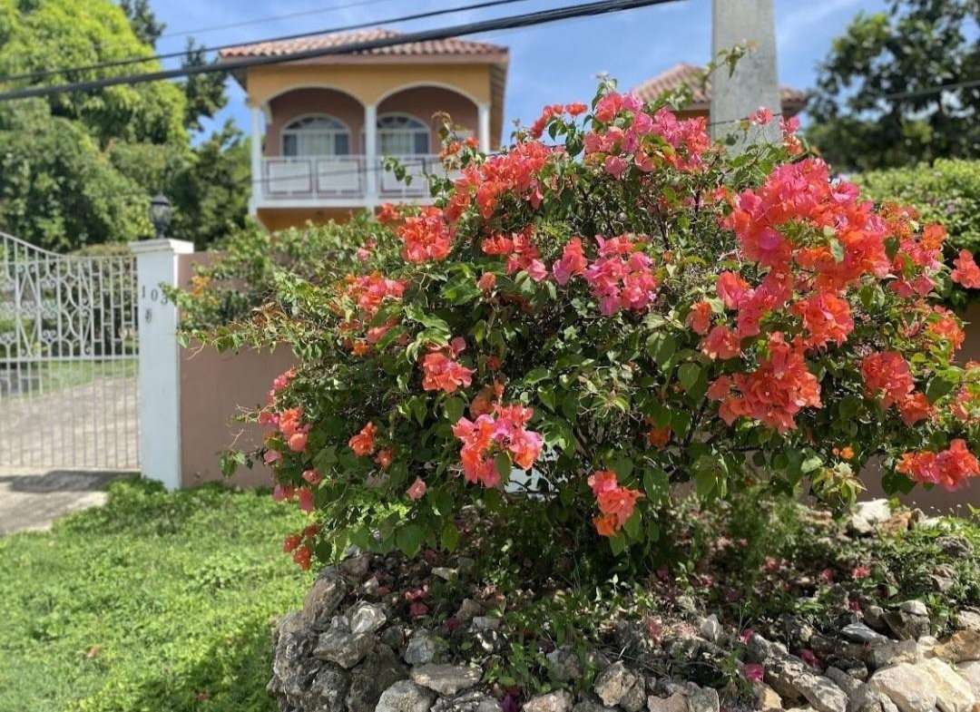 Third image of Unit 3-103 Hamilton Drive in Montego Bay, St. James, Jamaica - property is For Rent