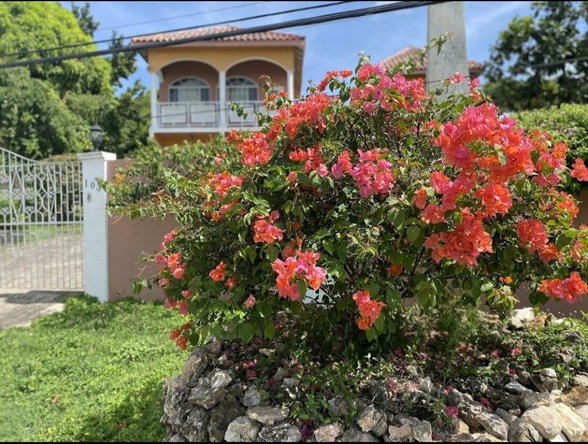 Third image of Unit 3-103 Hamilton Drive in Montego Bay, St. James, Jamaica - property is For Rent