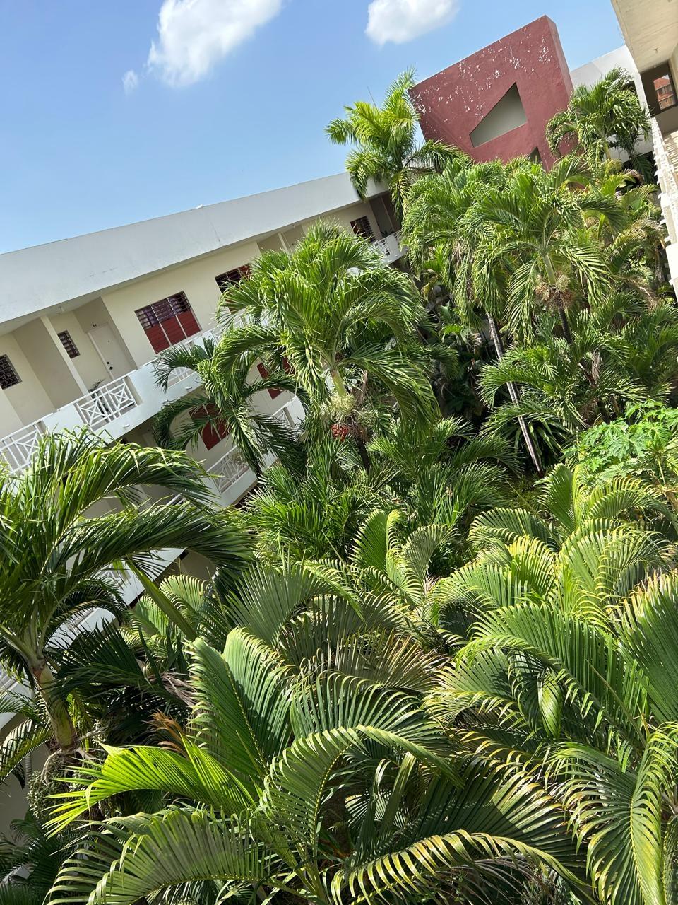 Apartment-for-Sale-at-67-2-Hillman-Road-St.-Andrew-Jamaica-–-Ideal-Investment-Opportunity Seventeenth image of 67-2 Hillman Road in Kingston 8, St. Andrew, Jamaica - property is For Sale
