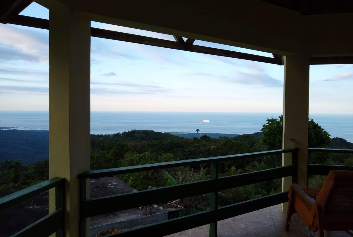 Fifth image of Golden Spring Estate in Higgin Town, St. Ann, Jamaica - property is For Sale