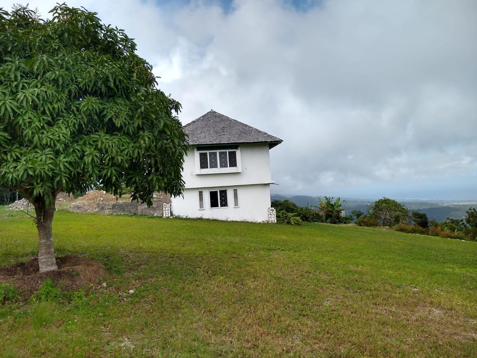 Ninth image of Golden Spring Estate in Higgin Town, St. Ann, Jamaica - property is For Sale