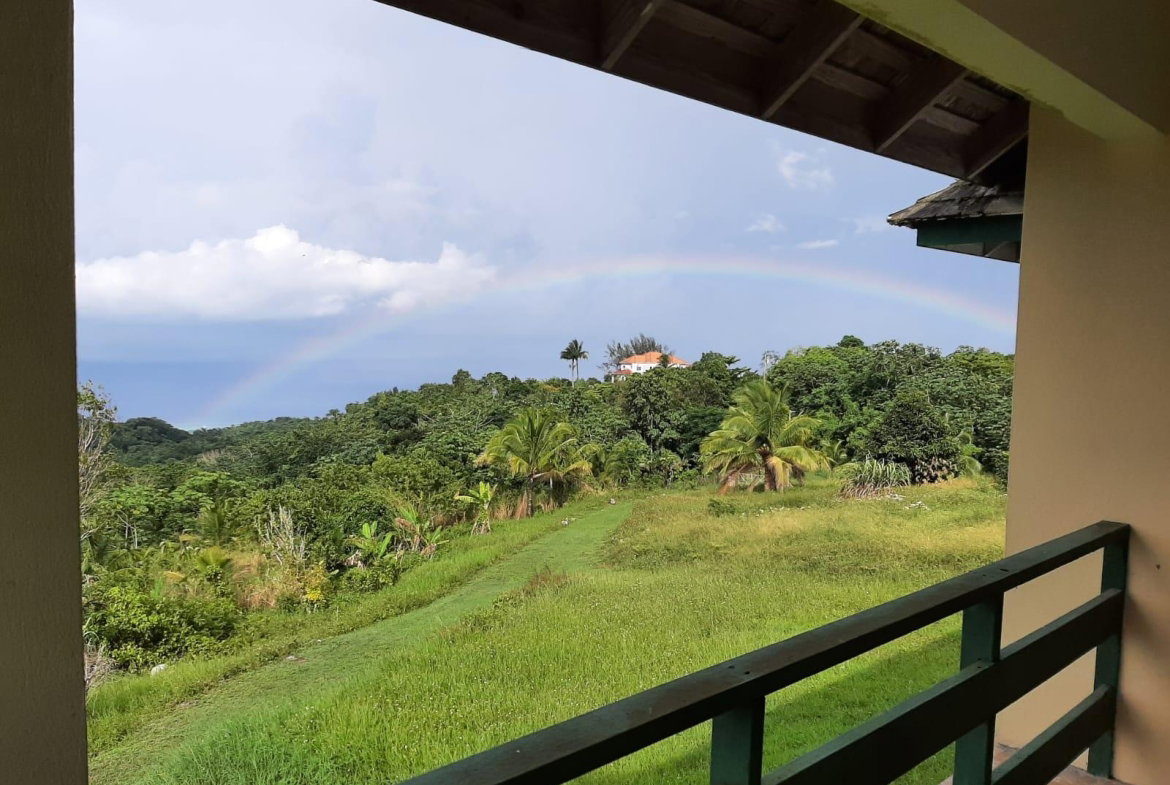 Tenth image of Golden Spring Estate in Higgin Town, St. Ann, Jamaica - property is For Sale