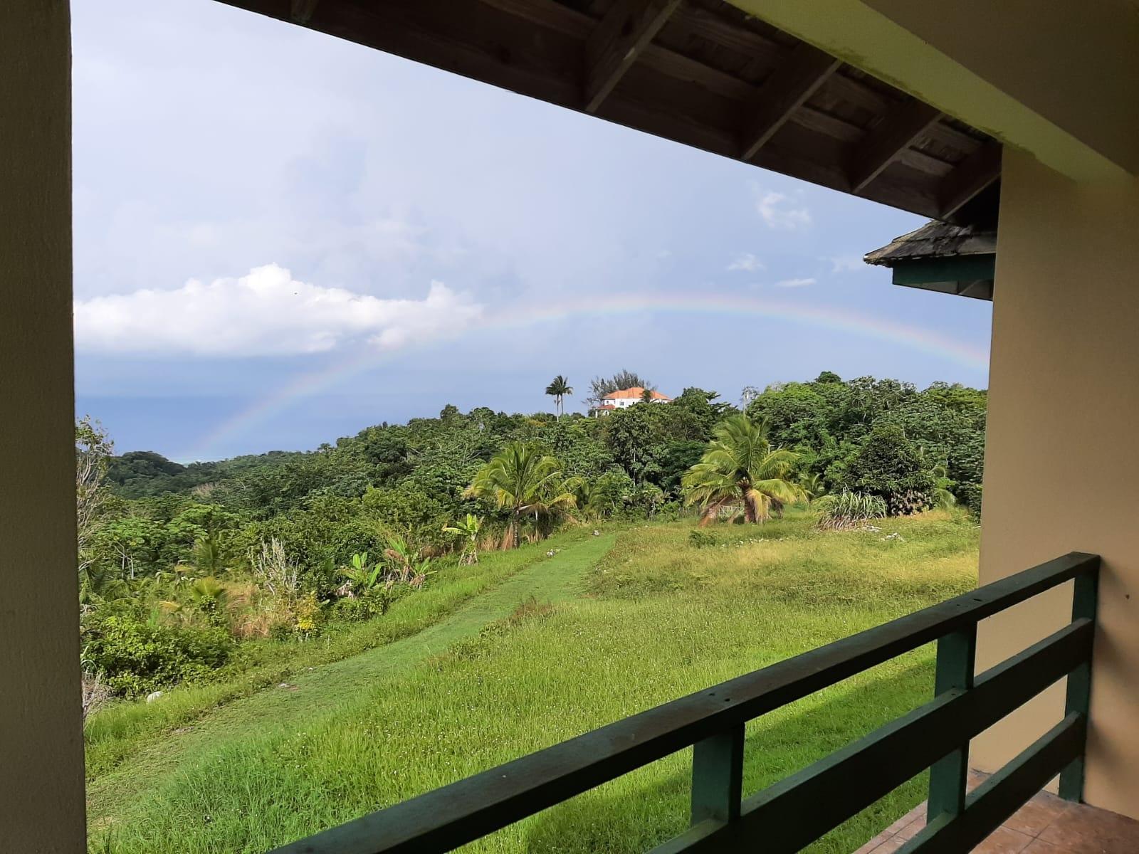 Tenth image of Golden Spring Estate in Higgin Town, St. Ann, Jamaica - property is For Sale