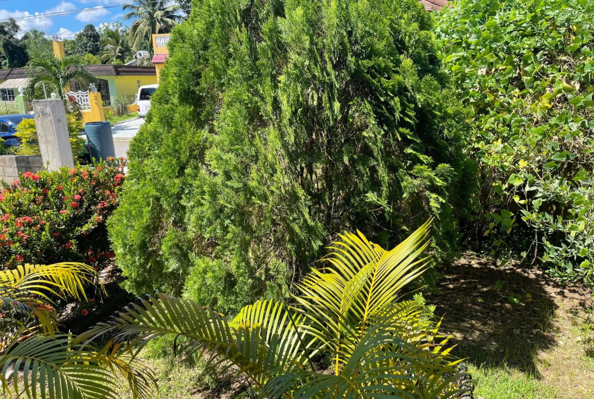 Fifth image of Lot 84- Jewel Estate in Bog Walk, St. Catherine, Jamaica - property is For Sale