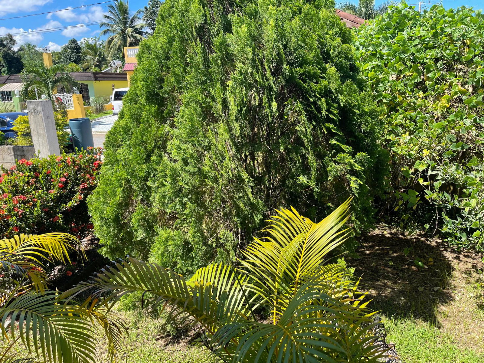 Fifth image of Lot 84- Jewel Estate in Bog Walk, St. Catherine, Jamaica - property is For Sale