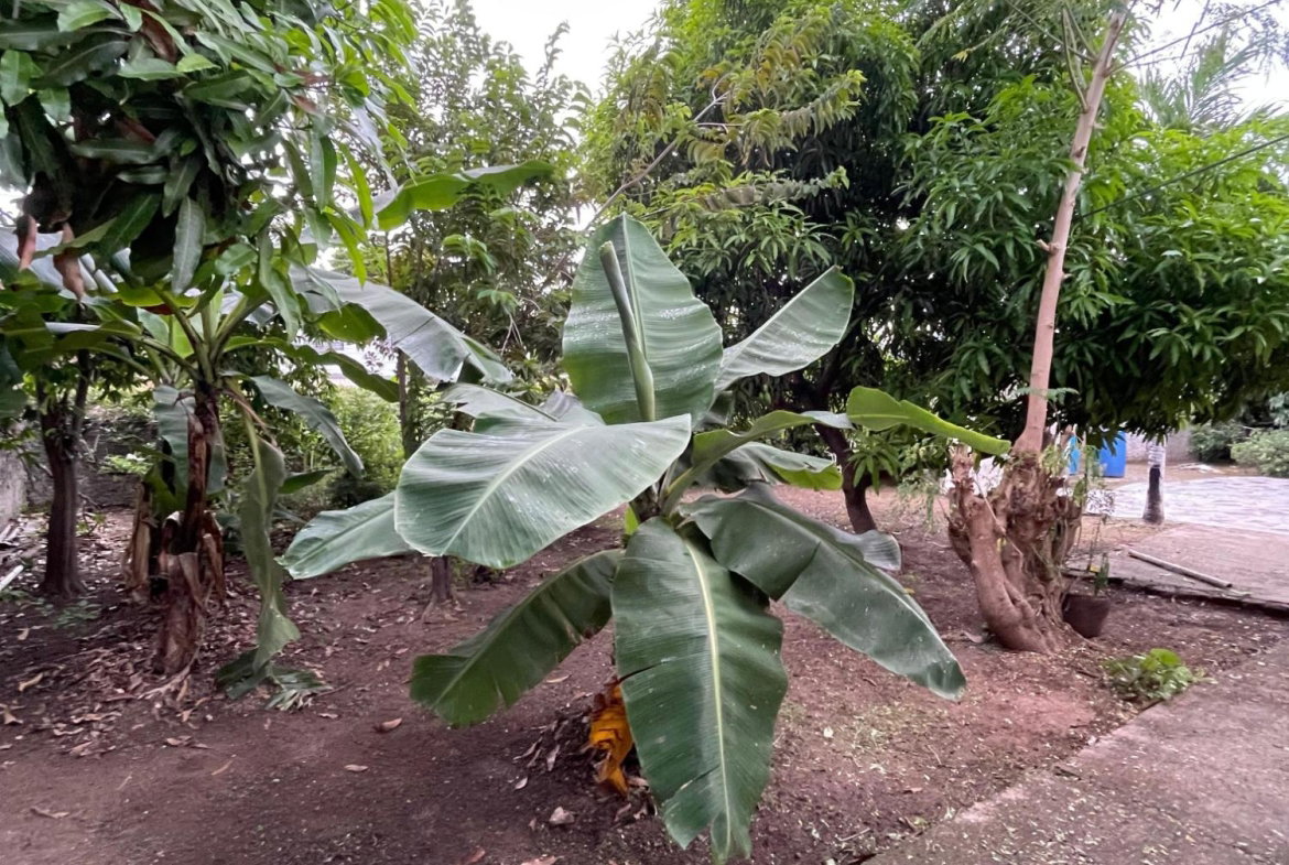 Twenty-First image of 111 Barbican Road in Kingston 6, St. Andrew, Jamaica - property is For Sale