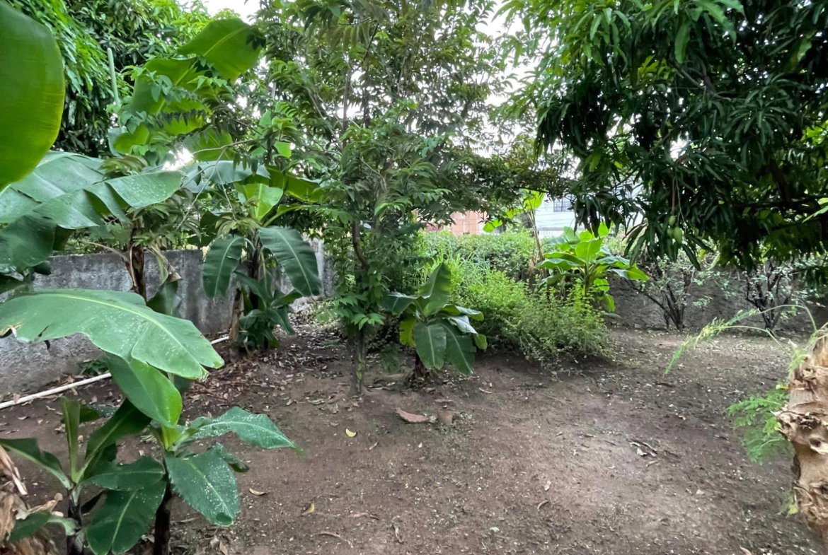 Twenty-Third image of 111 Barbican Road in Kingston 6, St. Andrew, Jamaica - property is For Sale