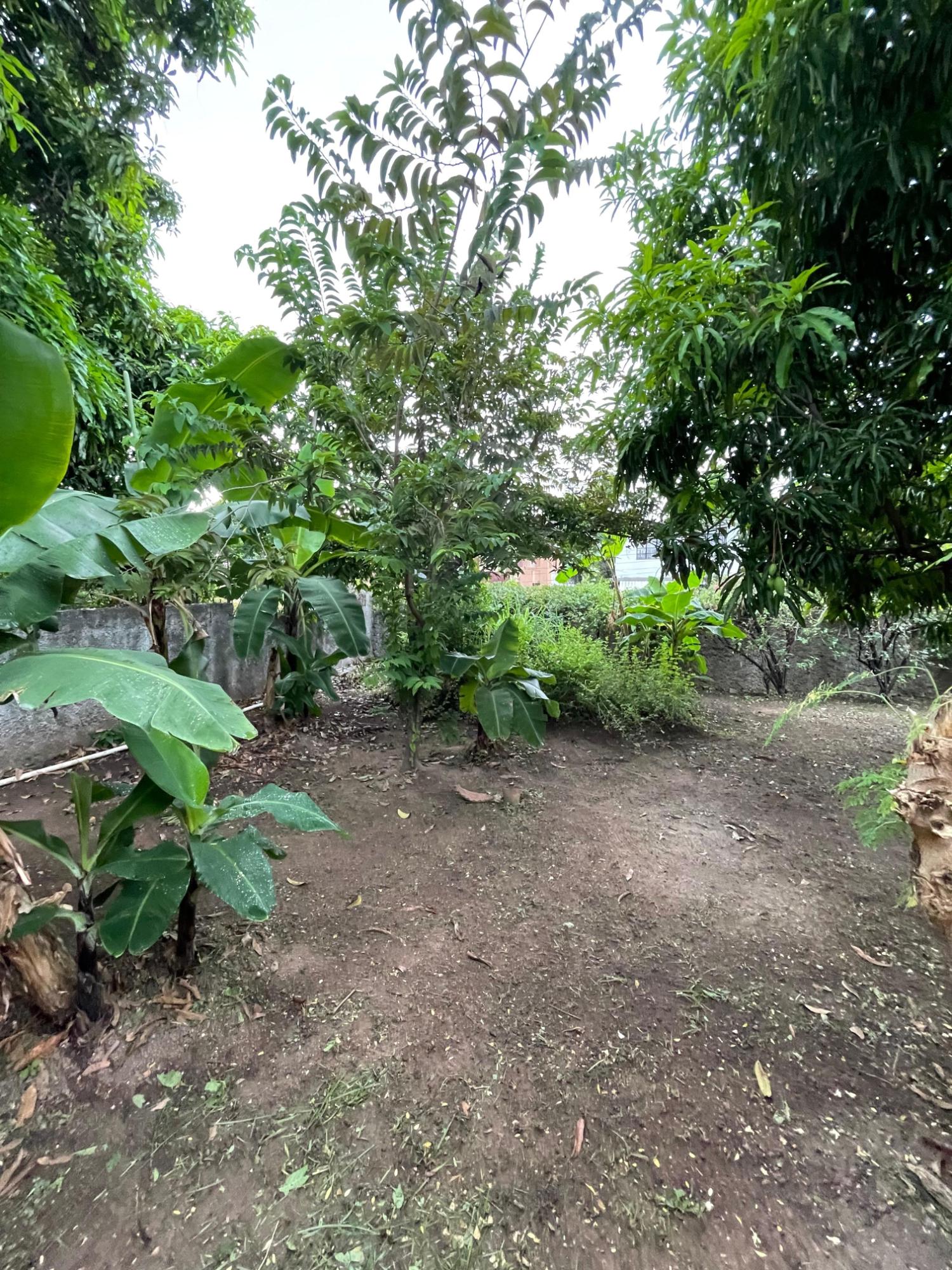 Twenty-Third image of 111 Barbican Road in Kingston 6, St. Andrew, Jamaica - property is For Sale