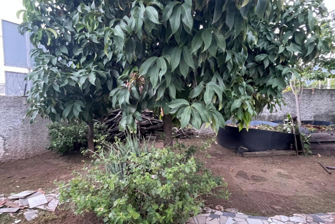 Fourth image of 111 Barbican Road in Kingston 6, St. Andrew, Jamaica - property is For Sale