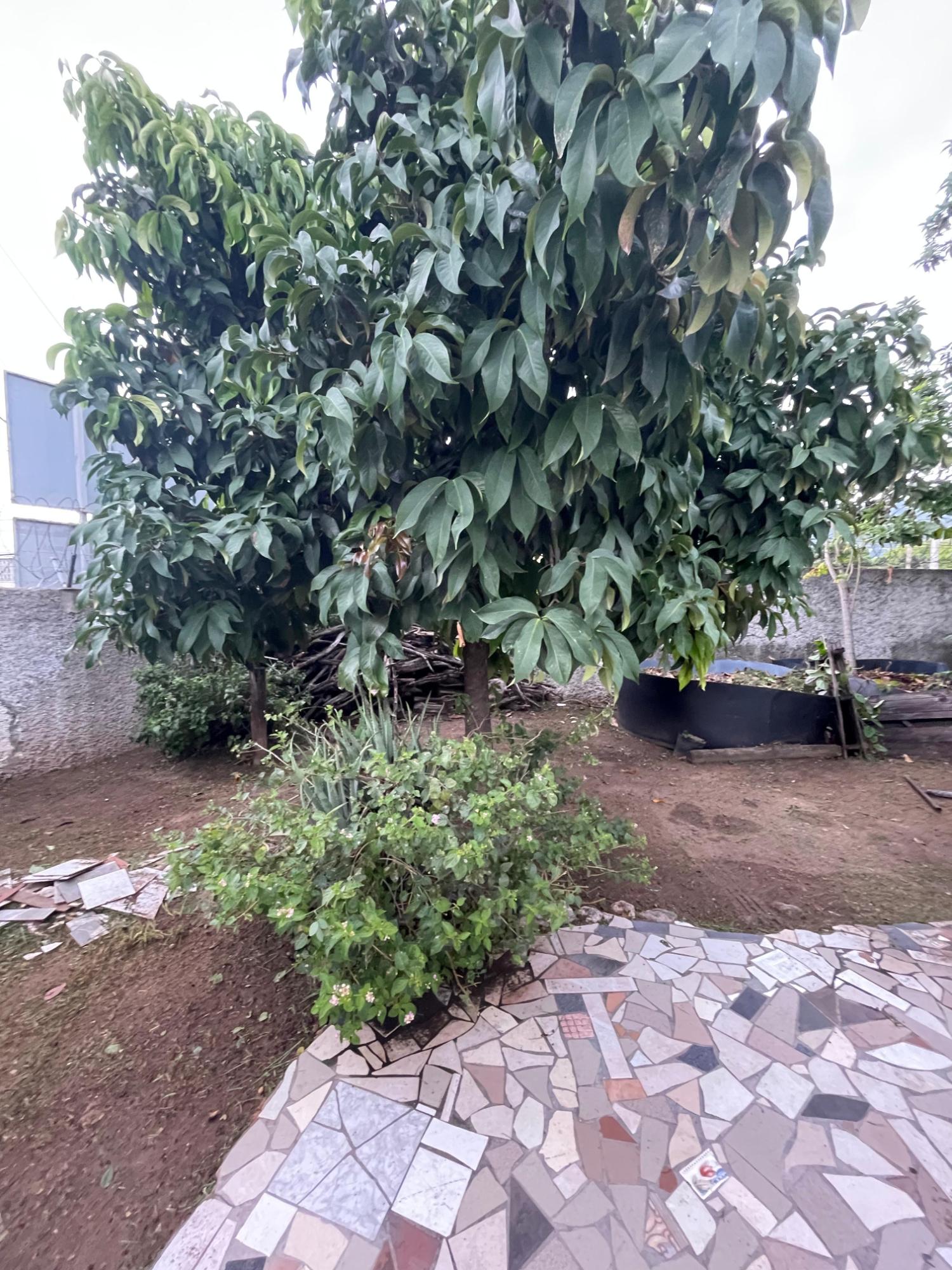 Fourth image of 111 Barbican Road in Kingston 6, St. Andrew, Jamaica - property is For Sale