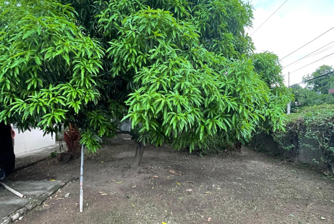 Fifth image of 111 Barbican Road in Kingston 6, St. Andrew, Jamaica - property is For Sale