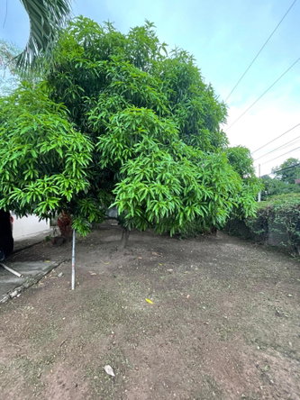 Fifth image of 111 Barbican Road in Kingston 6, St. Andrew, Jamaica - property is For Sale