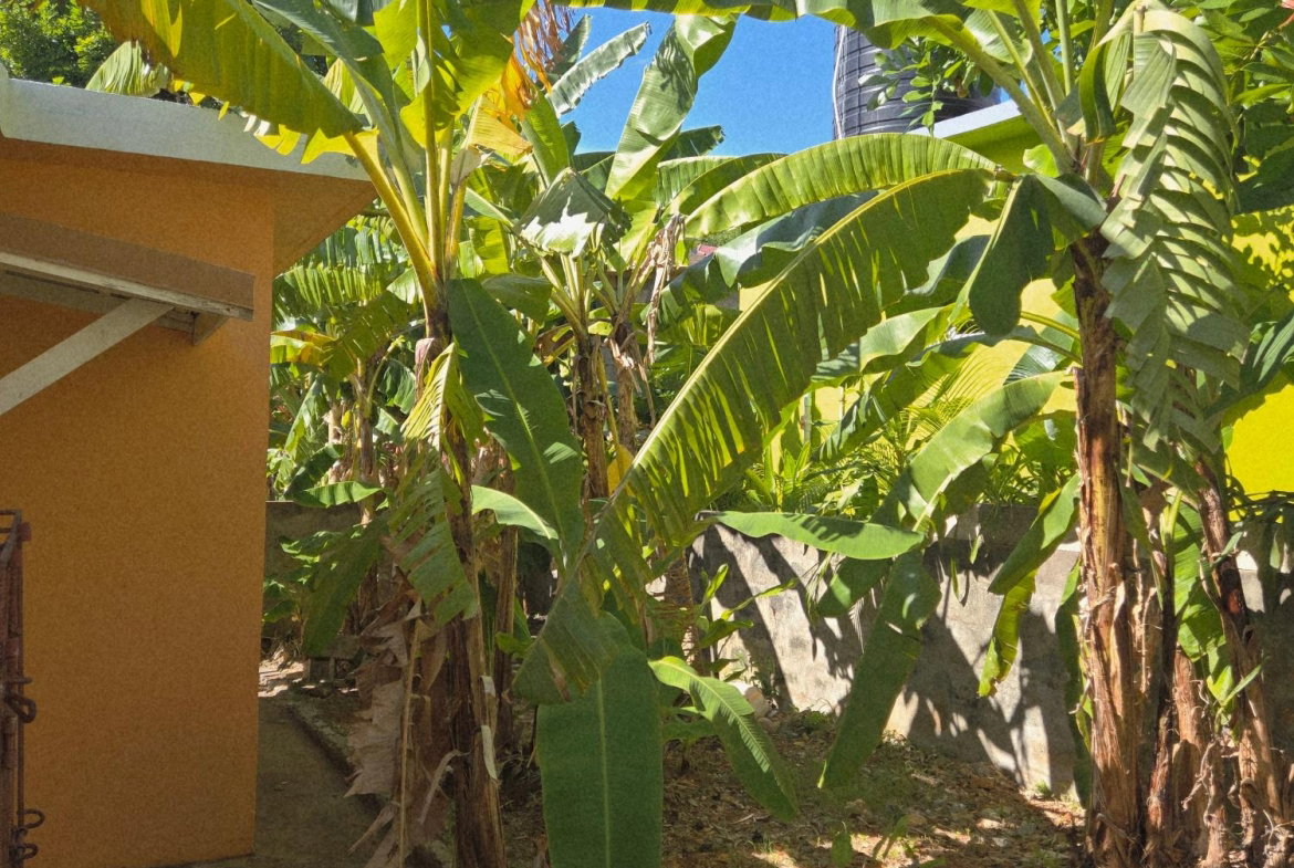 Twelfth image of 278 Sunset Mews in Boscobel Heights, St. Mary, Jamaica - property is For Sale