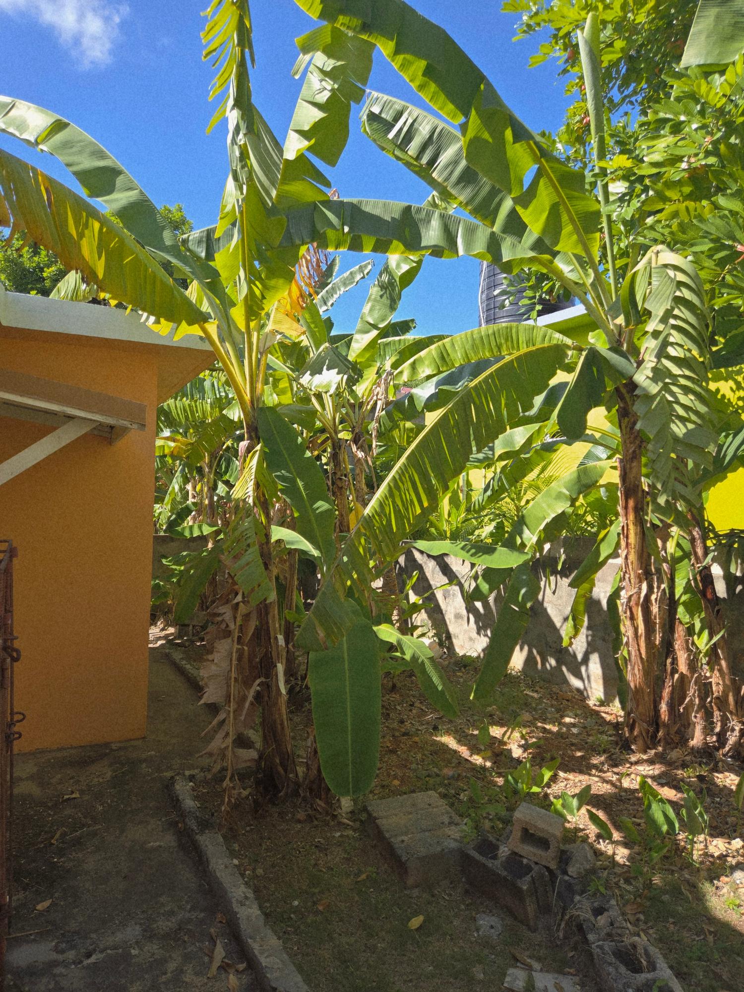 Twelfth image of 278 Sunset Mews in Boscobel Heights, St. Mary, Jamaica - property is For Sale