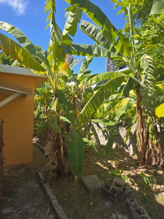 Twelfth image of 278 Sunset Mews in Boscobel Heights, St. Mary, Jamaica - property is For Sale