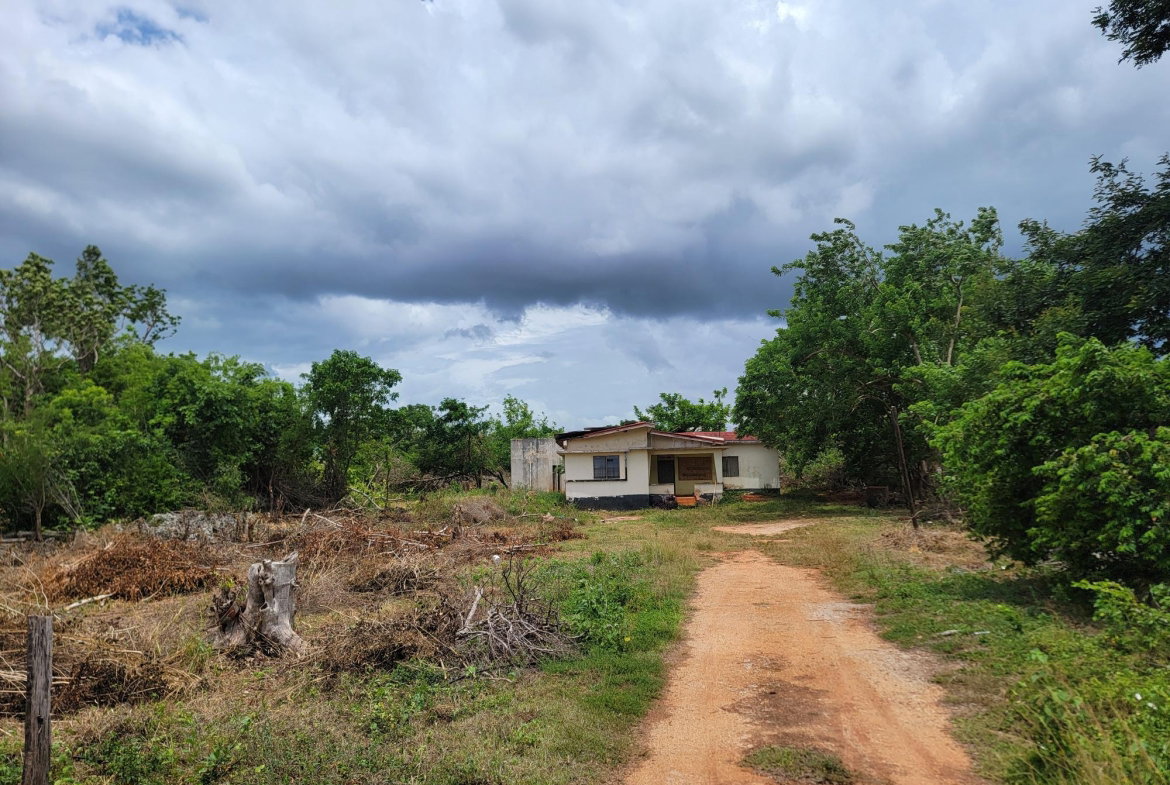 Fifth image of Lititz to Downs rd in Nain, St. Elizabeth, Jamaica - property is For Sale