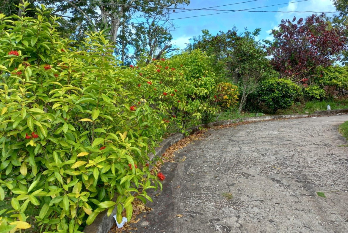 Fourth image of Sylvia Lawn in Woodlawn Grove, Manchester, Jamaica - property is For Sale