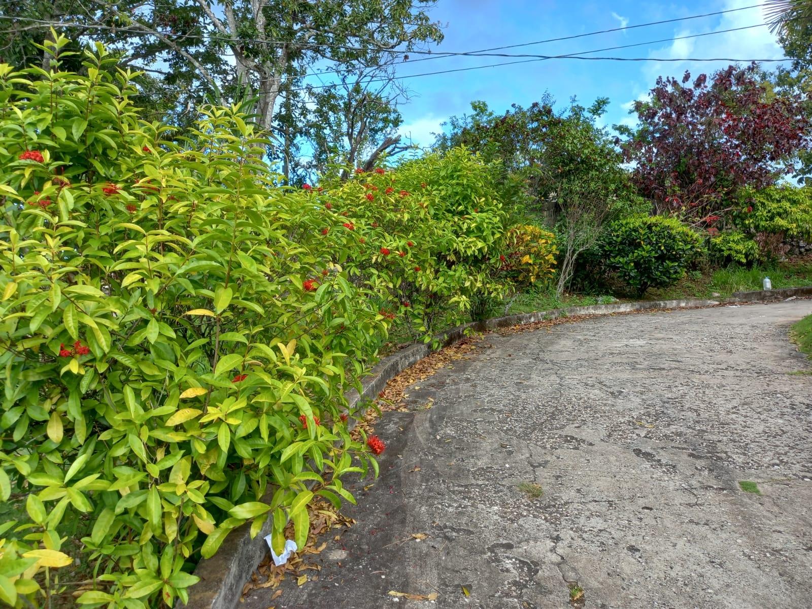 Fourth image of Sylvia Lawn in Woodlawn Grove, Manchester, Jamaica - property is For Sale