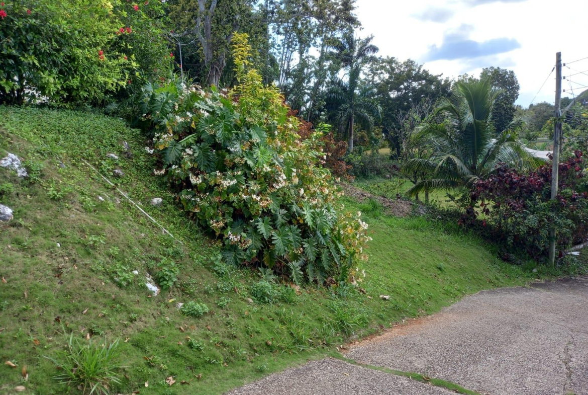Fifth image of Sylvia Lawn in Woodlawn Grove, Manchester, Jamaica - property is For Sale