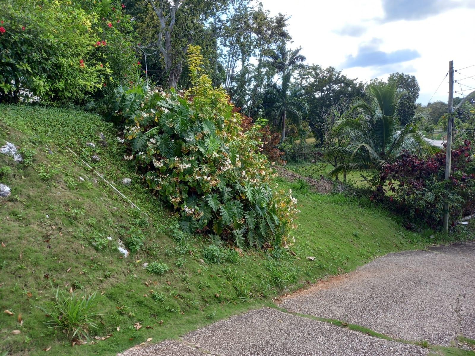 Fifth image of Sylvia Lawn in Woodlawn Grove, Manchester, Jamaica - property is For Sale