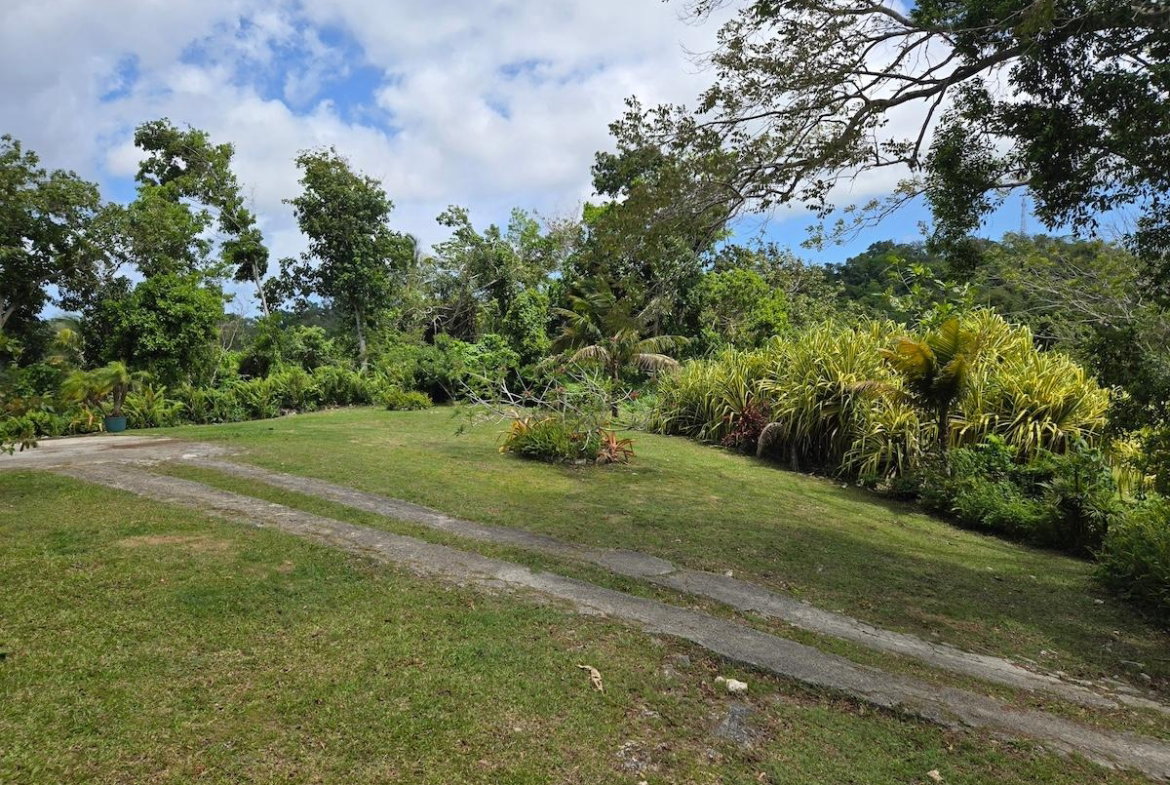 Fourth image of Kempshot, st James in Kempshot Pen, St. James, Jamaica - property is For Rent
