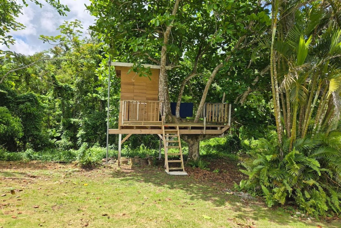 Sixth image of Kempshot, st James in Kempshot Pen, St. James, Jamaica - property is For Rent