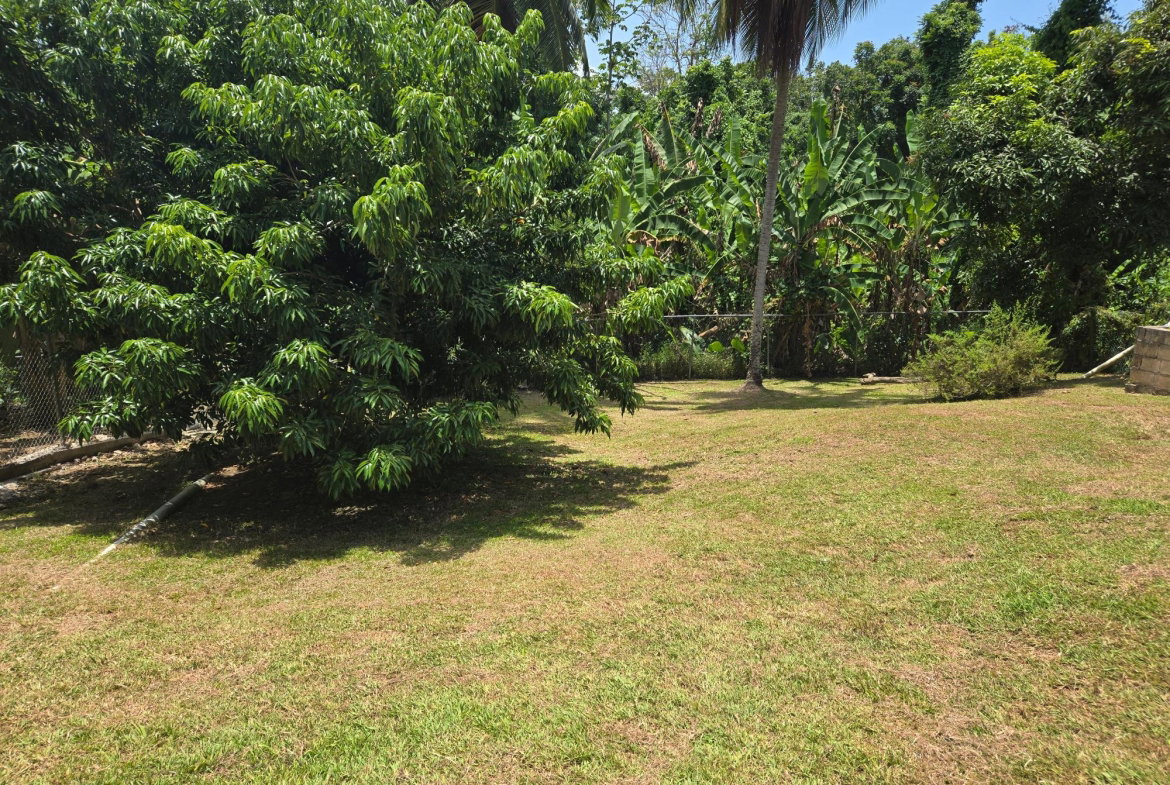 Twenty-Eighth image of Lots 2 & 3 Upper Esher & Cromwell m in Highgate, St. Mary, Jamaica - property is For Sale