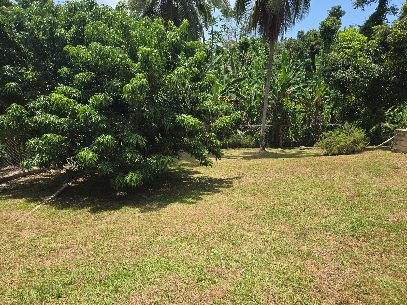 Twenty-Eighth image of Lots 2 & 3 Upper Esher & Cromwell m in Highgate, St. Mary, Jamaica - property is For Sale