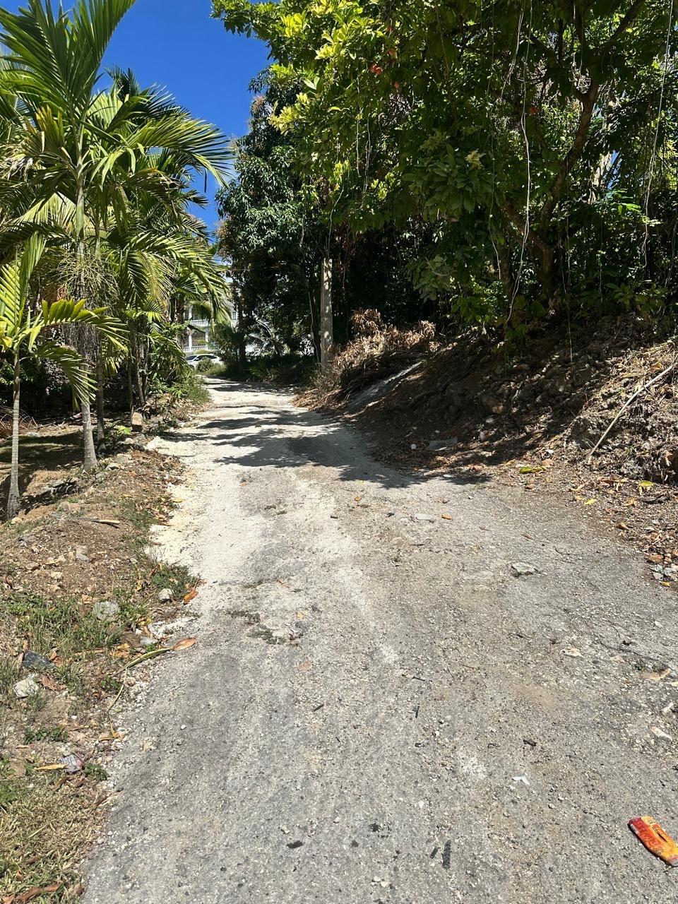 Charming-Fixer-Upper-House-for-Sale-in-St.-James-Jamaica-–-Mountain-Views Sixth image of 4 Villa Pen in Montego Bay, St. James, Jamaica - property is For Sale